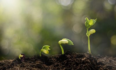 SGS, recunoscută din nou de către MSCI și FTSE4Good pentru performanța sa de top în domeniul ESG