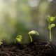 SGS, recunoscută din nou de către MSCI și FTSE4Good pentru performanța sa de top în domeniul ESG