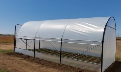 Startul sezonului de toamnă la solarii: cum își pregătesc fermierii culturile pentru iarnă și primăvară