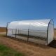Startul sezonului de toamnă la solarii: cum își pregătesc fermierii culturile pentru iarnă și primăvară
