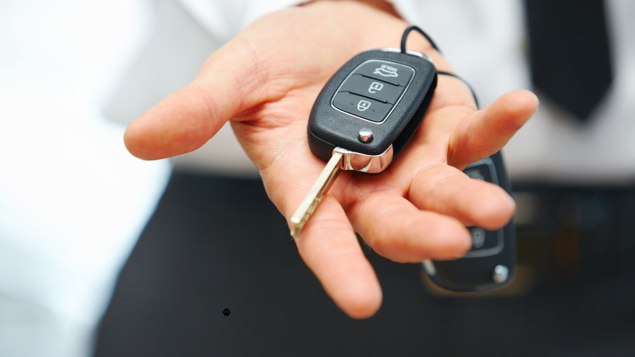 Vinde-ți mașina rapid, sigur și fără stres cu Cumpar-Auto.eu