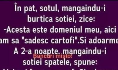 Bancul de sâmbătă | Acesta este domeniul meu!