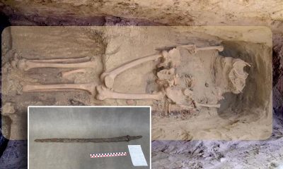 Cavalerul MISTERIOS din Pusta maghiară. Cine este de fapt călăreţul oriental căsăpit la Budapesta Cavalerul MISTERIOS din Pusta maghiară. Cine este de fapt călăreţul oriental căsăpit la Budapesta