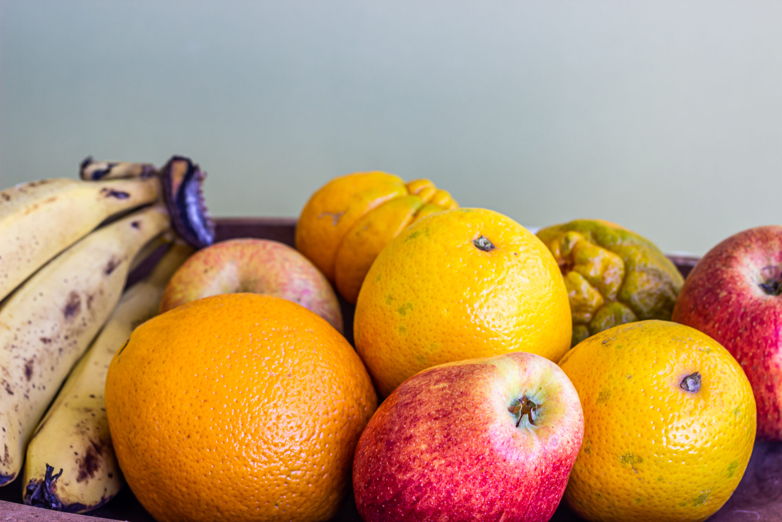 Fructul ale cărui coji pot valora până la 17.000 de euro. Românii îl consumă în fiecare iarnă Fructul ale cărui coji pot valora până la 17.000 de euro. Românii îl consumă în fiecare iarnă