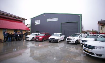 Importanța Serviciilor DDD înainte de Control DSP
