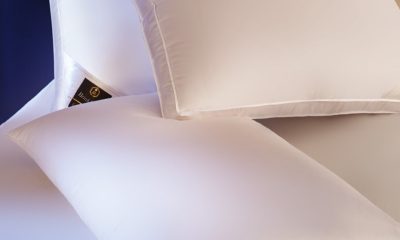 Perne Naturale Premium din Puf de Gâscă – Alegerea Perfectă pentru un Somn Cu Adevărat Odihnitor