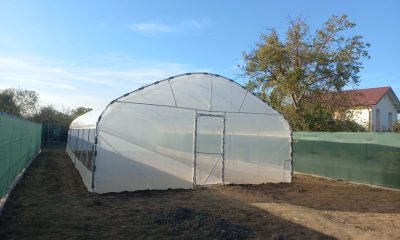 Clarificări privind discuțiile despre impozitarea solariilor în Codul Fiscal 2026. Bacas este alături de agricultorii din România și oferă informațiile certe disponibile la acest moment