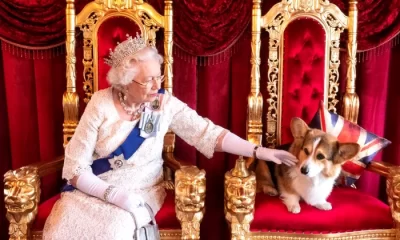 Palatul Buckingham anunță ce se va întâmpla cu faimoșii câini corgi ai reginei Elisabeta II, după ce prințului Andrew i-a fost retras titlul
