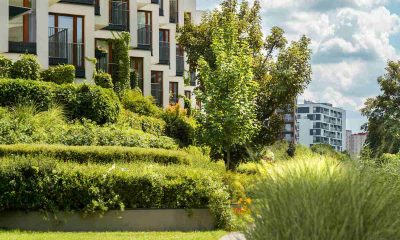 Grădinile urbane profesionale: Beneficii pentru comunitate și idei de amenajare inovatoare