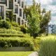 Grădinile urbane profesionale: Beneficii pentru comunitate și idei de amenajare inovatoare