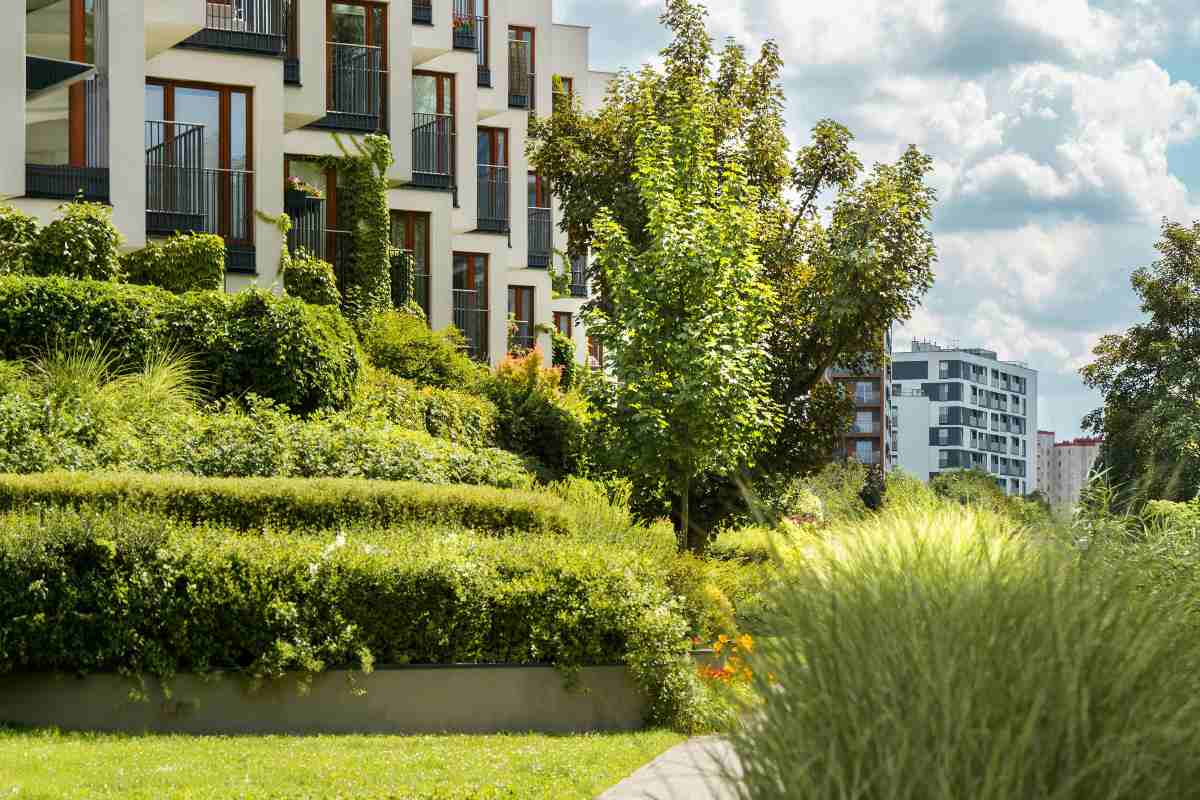 Grădinile urbane profesionale: Beneficii pentru comunitate și idei de amenajare inovatoare