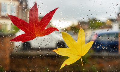 Vremea pe o lună. Estimările meteorologilor ANM până pe 1 decembrie 2025