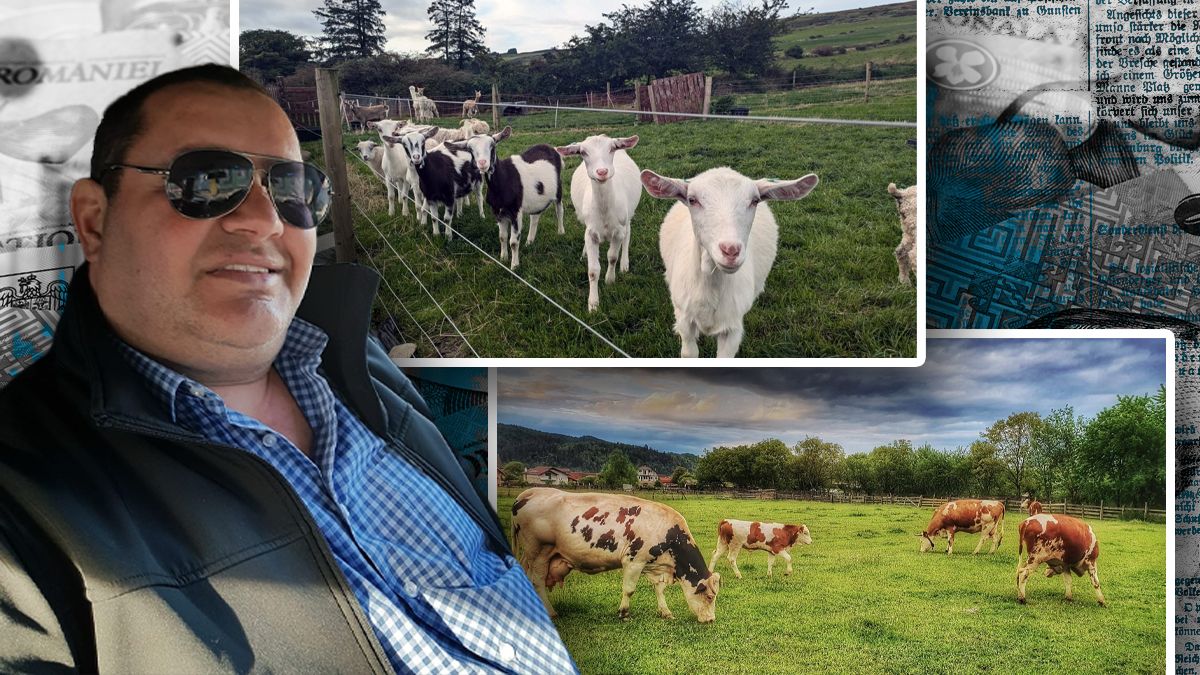 Cine a pus mâna pe averea temutului Gigi Geamănu, la un an de la moartea acestuia