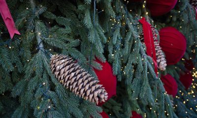 Crăciunul in lume, tradiții și superstiții de la alte popoare. Ce paradă inedită fac milionarii din Elveția