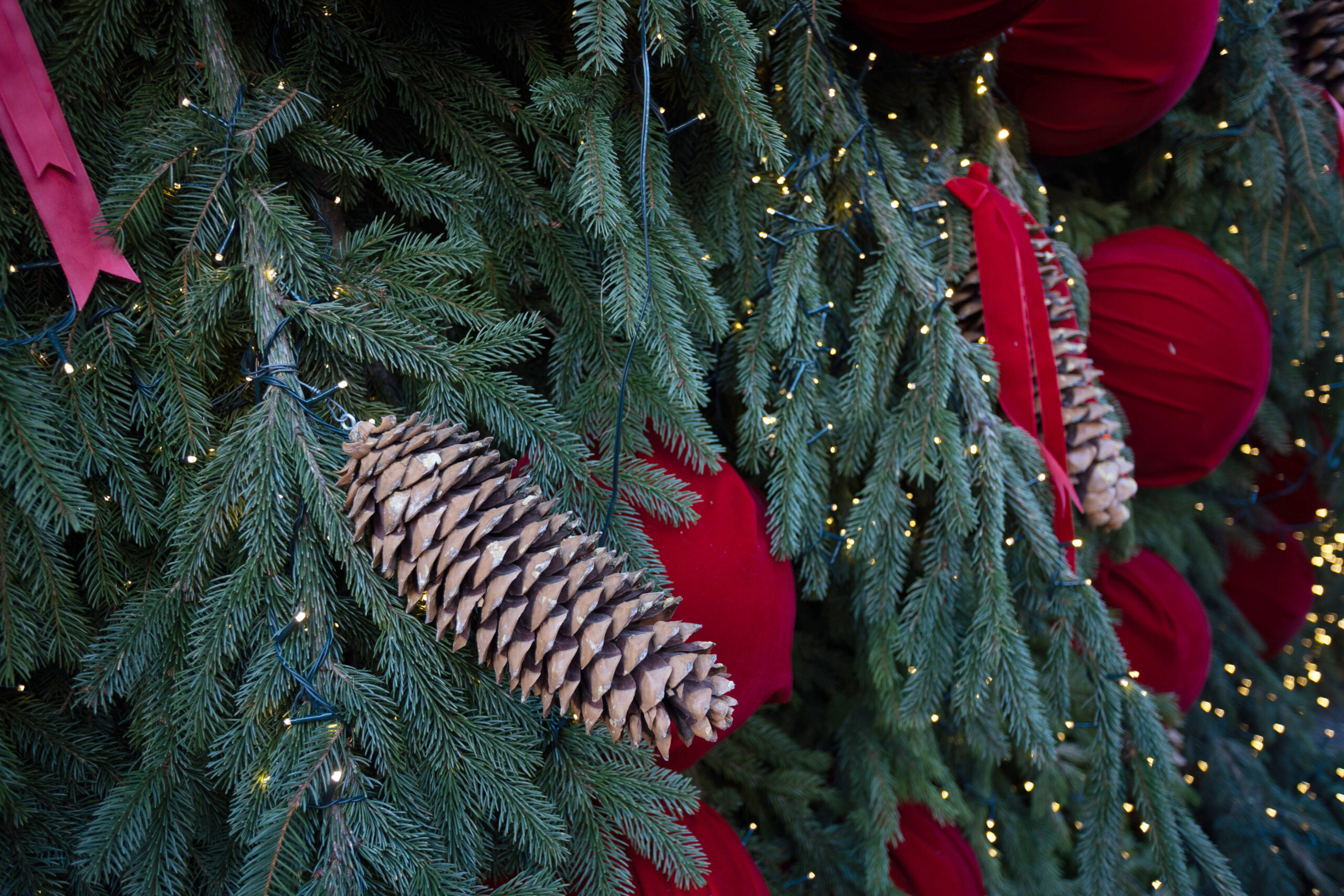 Crăciunul in lume, tradiții și superstiții de la alte popoare. Ce paradă inedită fac milionarii din Elveția