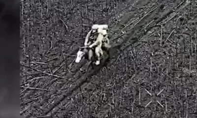 De ce revin caii pe câmpul de luptă. Forbes explică noua tactică a armatei ruse