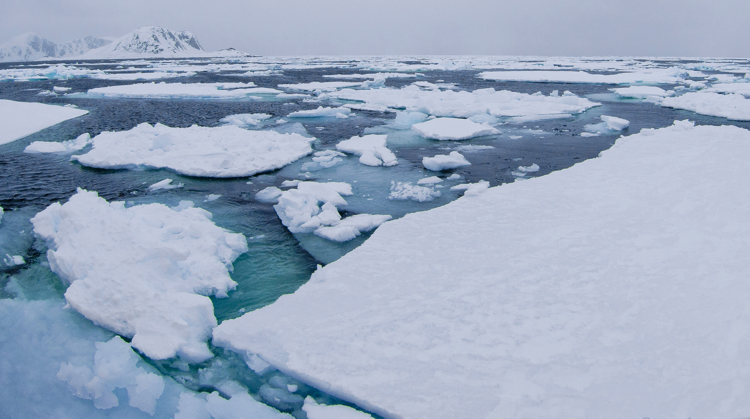 Planeta se încinge. Arctica s-a confruntat cu cel mai călduros an din istoria înregistrărilor meteorologice. Rusia și SUA vor să exploateze regiunea