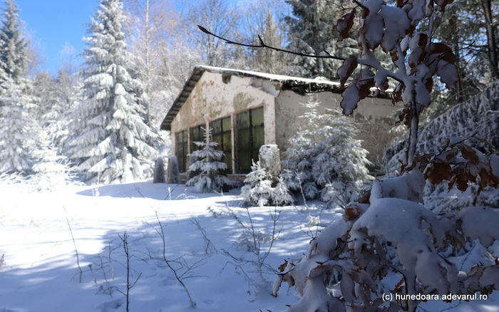 Rachetele Revoluției, lansate din inima munților. Cum a ajuns cel mai izolat sat în toiul asediului din 1989