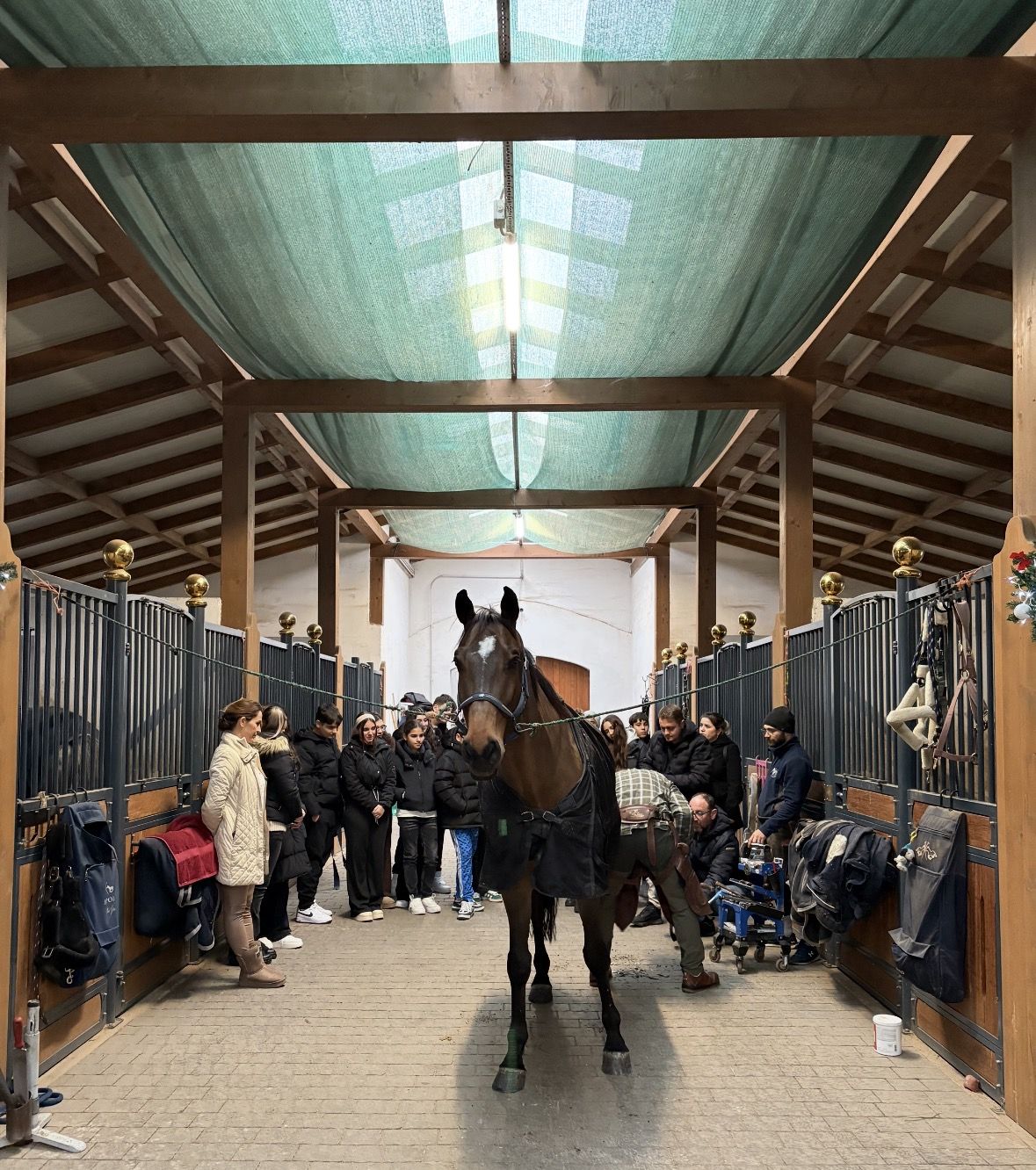 România gâzduiește Campionatul European