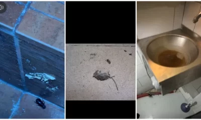 Șoarece mort, gândaci și mizerie de nedescris. ANPC a închis temporar un restaurant