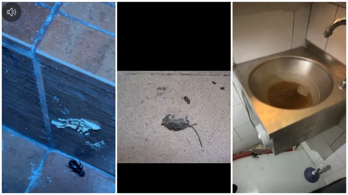 Șoarece mort, gândaci și mizerie de nedescris. ANPC a închis temporar un restaurant