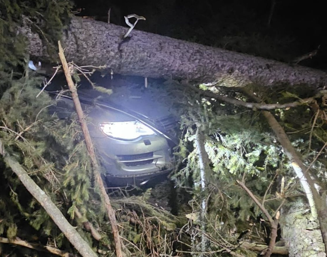 un copac a căzut peste o mașină cu trei persoane