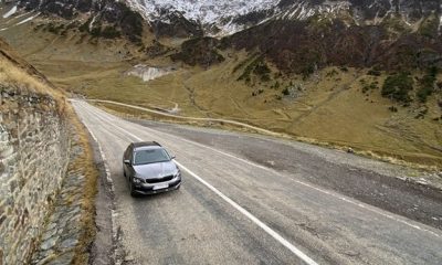 SUV, hybrid sau compact? Cum alegi mașina potrivită nevoilor tale