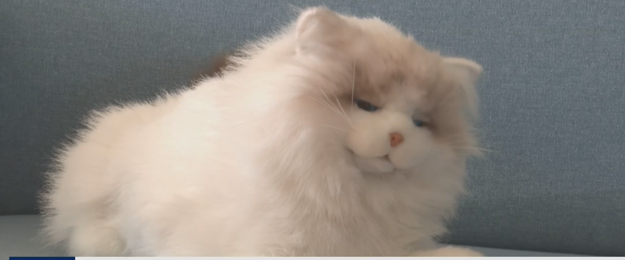 Chinezii fac jucării cu inteligență artificială. Ce știe să facă o pisică AI