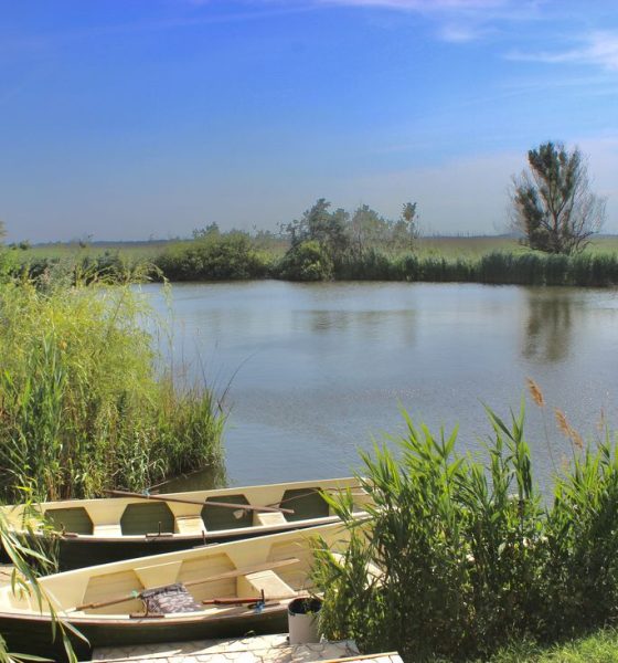 Cum alegi o pensiune pentru sejurul tău de pescuit in Deltă?