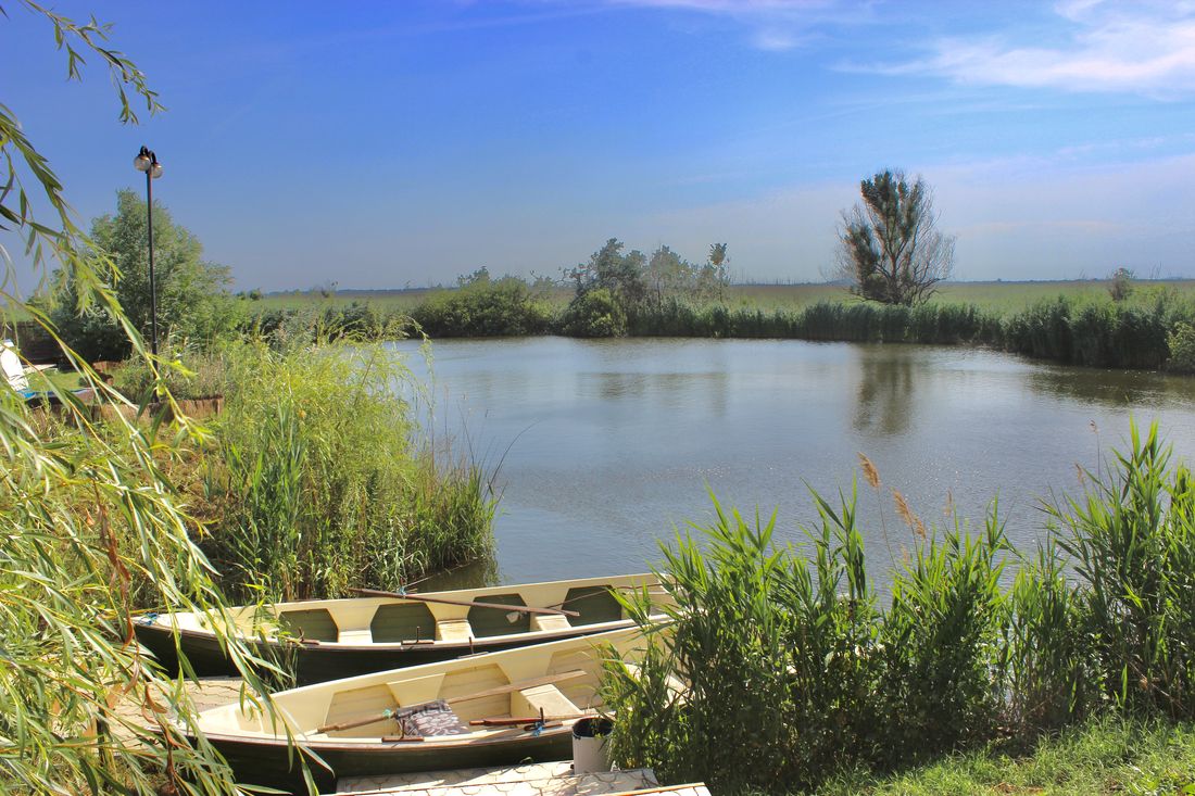 Cum alegi o pensiune pentru sejurul tău de pescuit in Deltă?