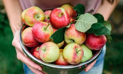 Adevărat sau fals. „Un măr în fiecare zi ține doctorul departe”, este convingerea populară. Ce spun specialiștii