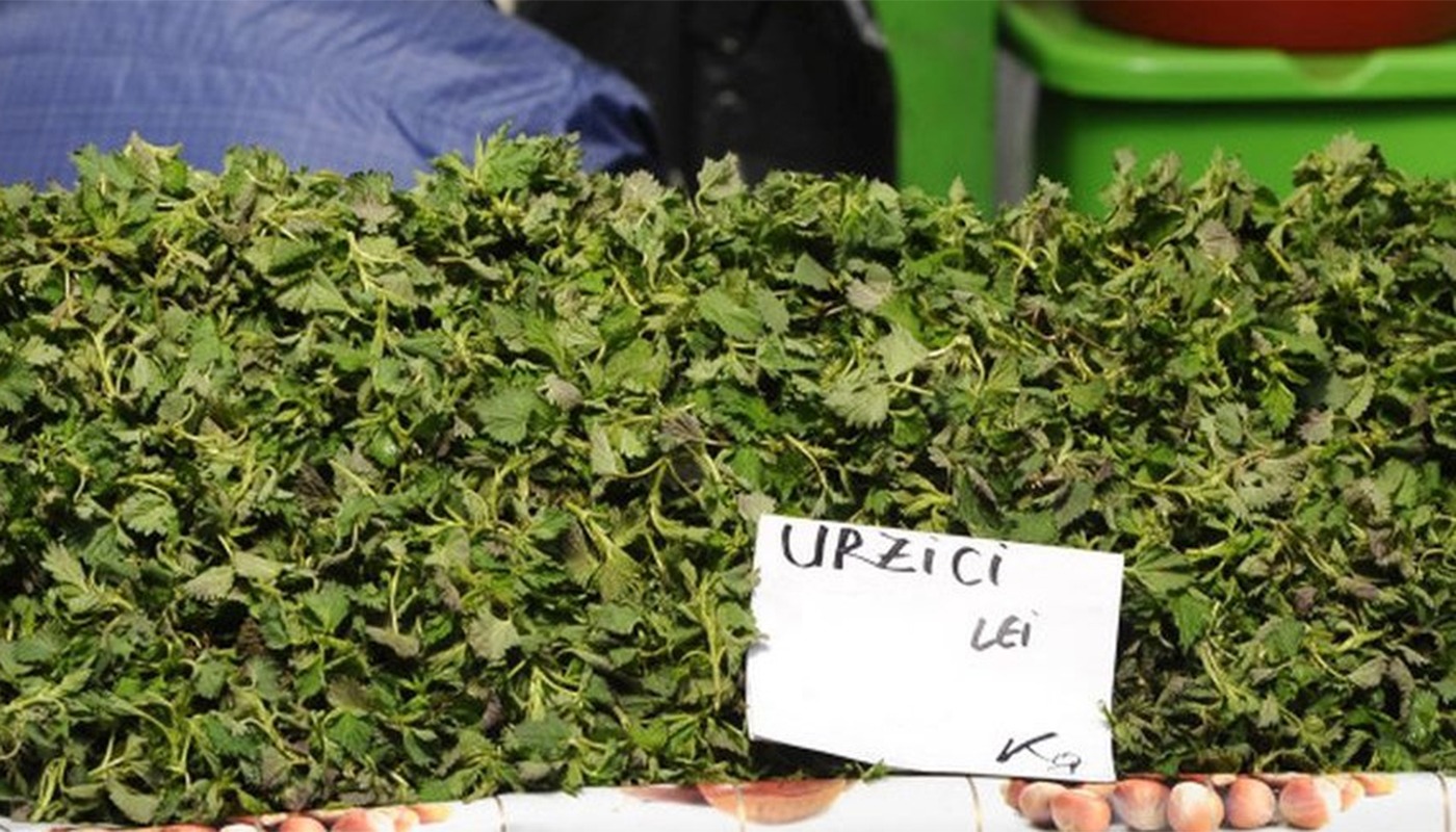 Buruiana de sezon care costă mai mult decât un coltlet în primăvara timpurie. Cum îți dai seama dacă planta este încă vie