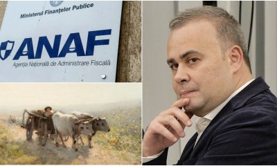 Cât a recuperat statul din vânzarea la licitație a tablourilor fostului ministru Darius Vâlcov. Prejudiciul se ridică la 1,2 milioane de euro