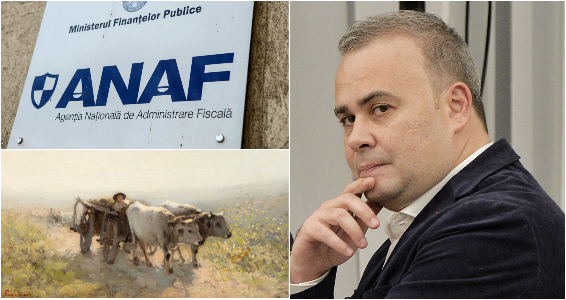 Cât a recuperat statul din vânzarea la licitație a tablourilor fostului ministru Darius Vâlcov. Prejudiciul se ridică la 1,2 milioane de euro