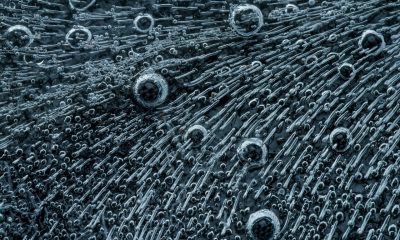 Statele membre pot interzice cultivarea organismelor modificate genetic