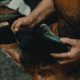 Franciza de succes cu Wash Shoes – o poveste reală de antreprenoriat