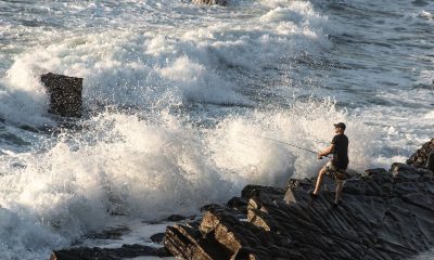 Inima echipamentului tău: Cum lucrează mecanic o mulinetă de crap în timpul unei lupte intense