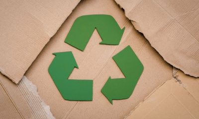 Avantajele financiare pe care le ai pe termen lung dacă optezi pentru ambalaje din carton reciclat