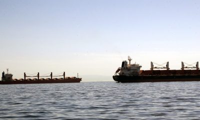 Ce vine cu Mercosur. Un cargo cu semințe de floarea soarelui din Argentina, dat la biodiesel în Bulgaria