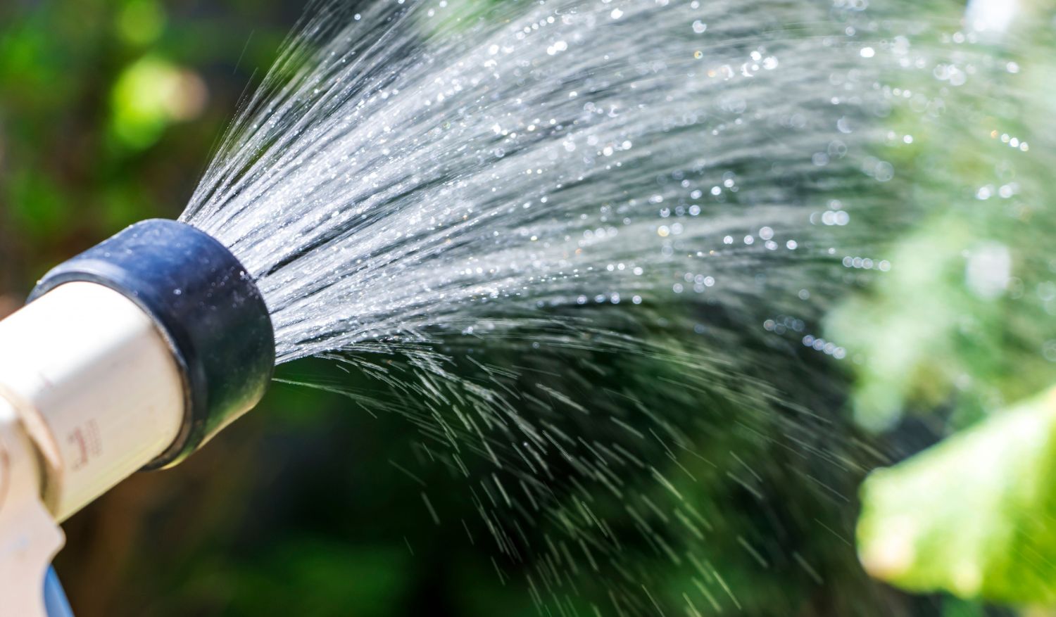 Cum alegi un hidrofor potrivit pentru necesarul de apă al casei și grădinii tale