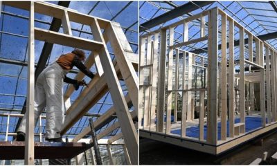 Un cuplu din Olanda, fără nicio experiență în construcții, a ridicat o căsuță de la zero cu ajutorul ChatGPT. Unde au apărut probleme în acest proiect