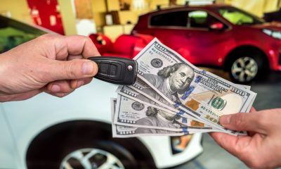 De ce claritatea conteaza de la primul pas