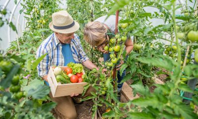 7 legume pe care merită să le începi primăvara devreme