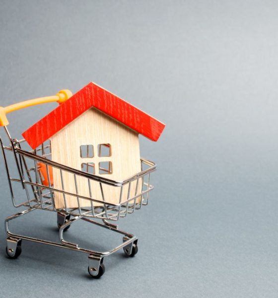 Apartament cu 2 camere vs. Casă la periferie: Pro și Contra