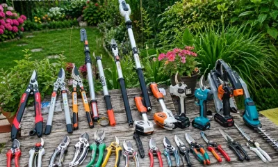 Cele mai bune foarfeci de grădină 2026: Top 7 + alternative – cum alegi corect și eviți greșelile, în funcție de buget, nevoi și utilizare