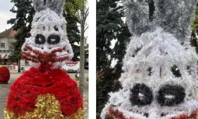 Iepurași cu aspect horror, montați în centrul Municipiului Baia Mare. Ce spun localnicii