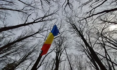 Masacrul acoperit de sovietici cu o pădure de molizi. Istoric: „Frica a intrat în oasele oamenilor până la începutul anilor ’90“