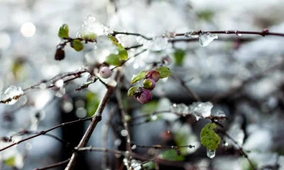 Un val polar aduce o nouă răcire în România. De când se instalează asupra țării noastre și cum va fi vremea de 1 Mai