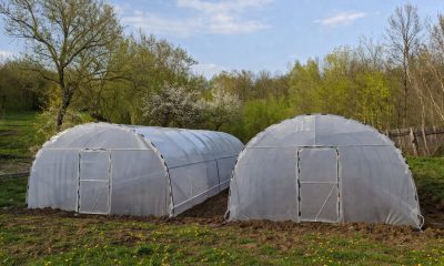 Startul sezonului în solarii: de ce luna aprilie face diferența între un an bun și unul pierdut