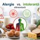 Alergie vs. intoleranță alimentară: cum le deosebești corect